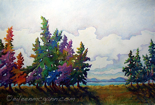 Metchosin Wind