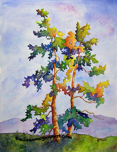 Hill Pines
